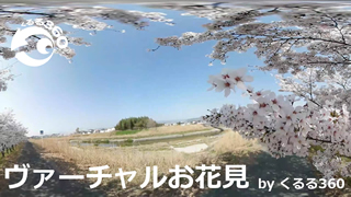 ヴァーチャルお花見 実績